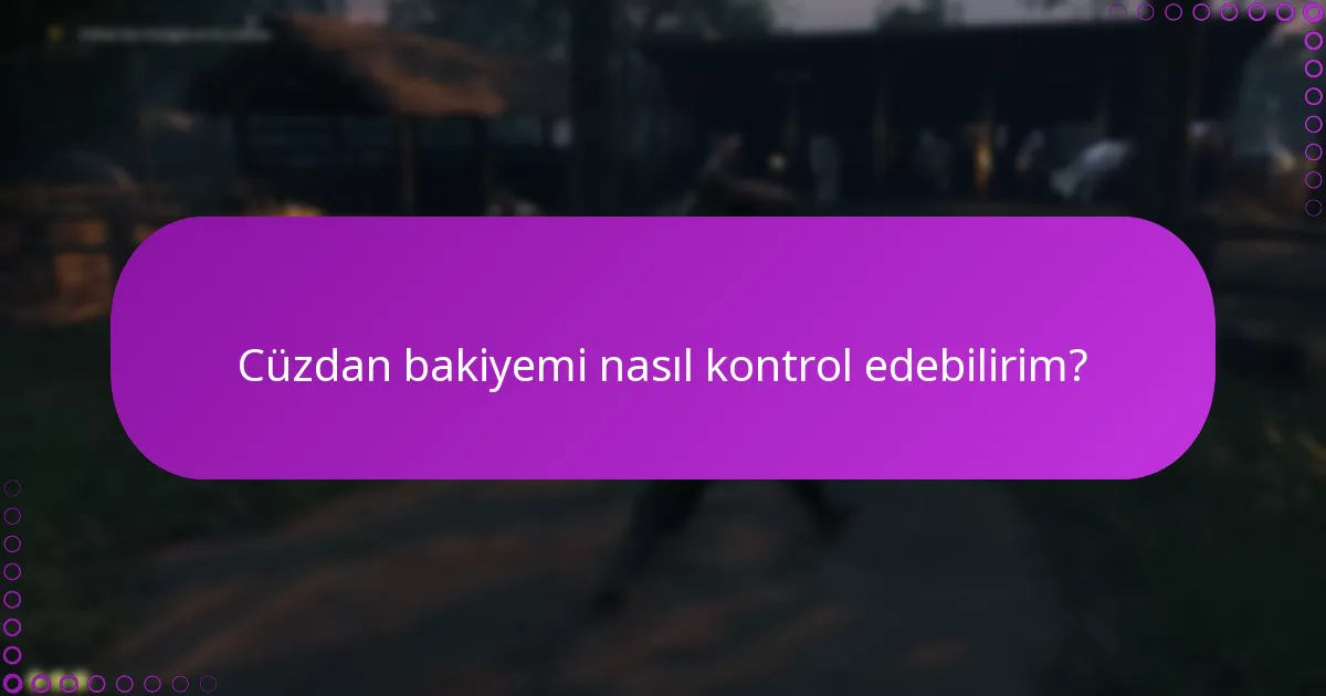 Cüzdan bakiyemi nasıl kontrol edebilirim?