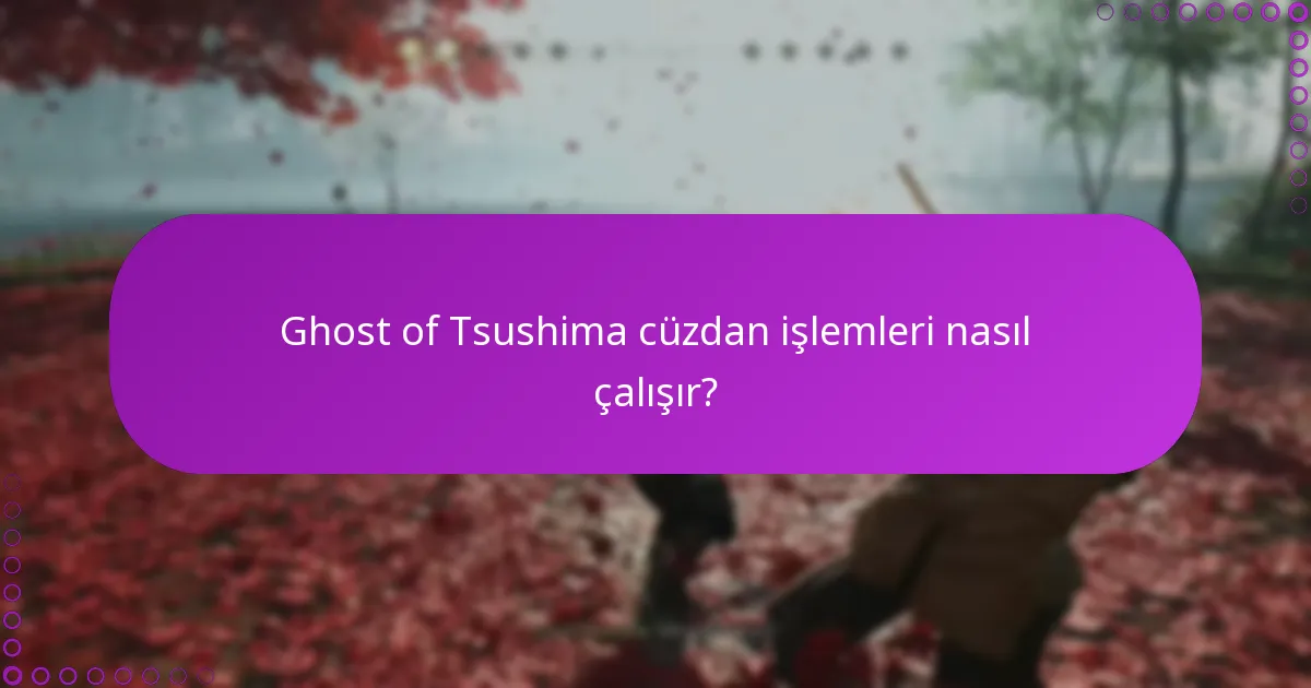 Cüzdan bakiyem yanlışsa ne yapmalıyım?